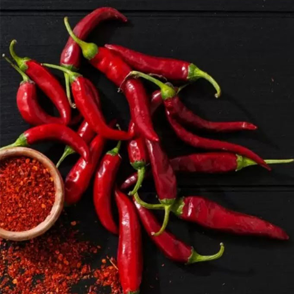Farmer’s Week: Prominent GI Tags 2021 In India – Goa’s Khola Chillies